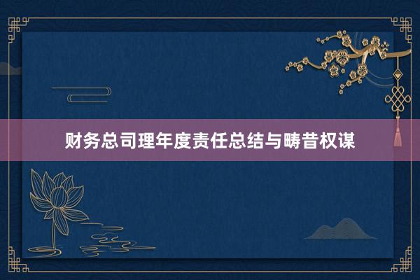 财务总司理年度责任总结与畴昔权谋
