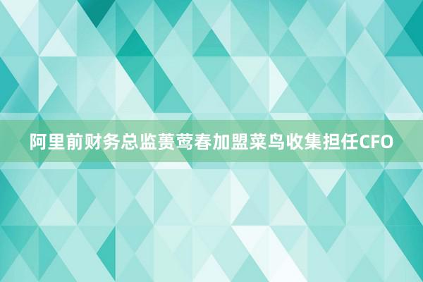 阿里前财务总监蒉莺春加盟菜鸟收集担任CFO